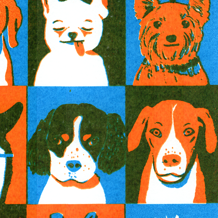 Perros_de_Barcelona_2