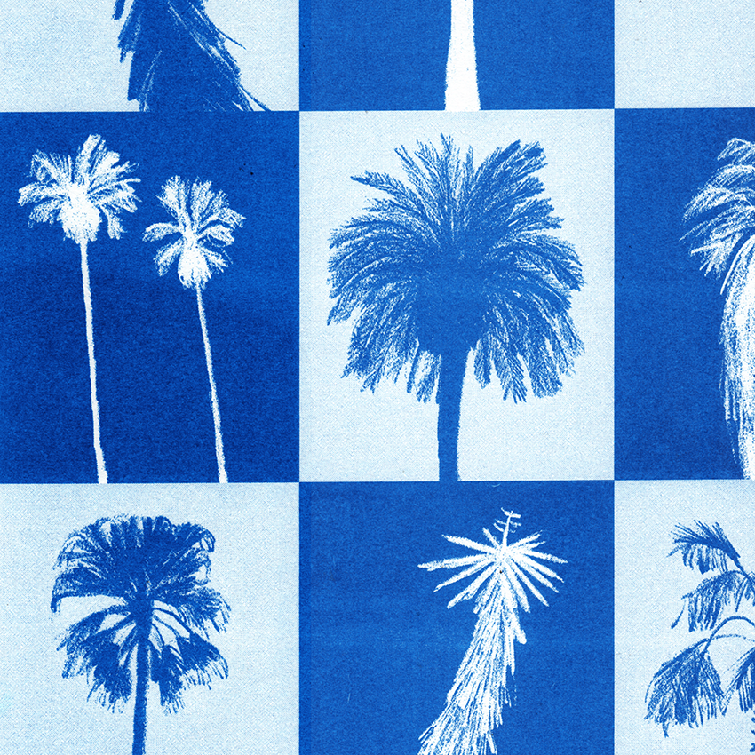 Palmeras_Barcelona_3