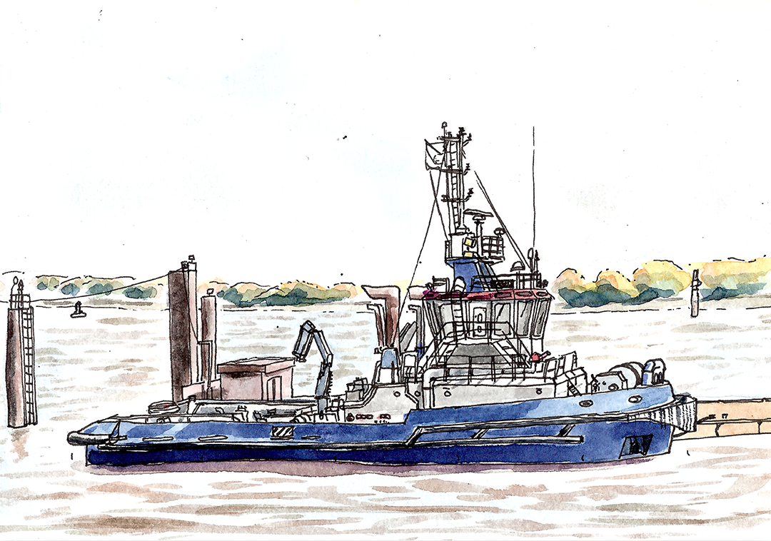 Summer_Sketchbook_2019_t__0008_summer_Sketchbook_2019_1.png